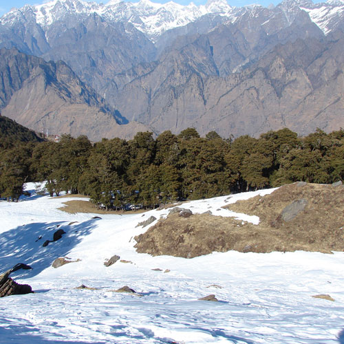 Auli - What to See